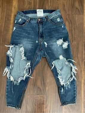 One Teaspoon Iggy Destroyed Jeans